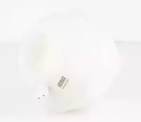 Компенсационный бак, охлаждающая жидкость BSG купить